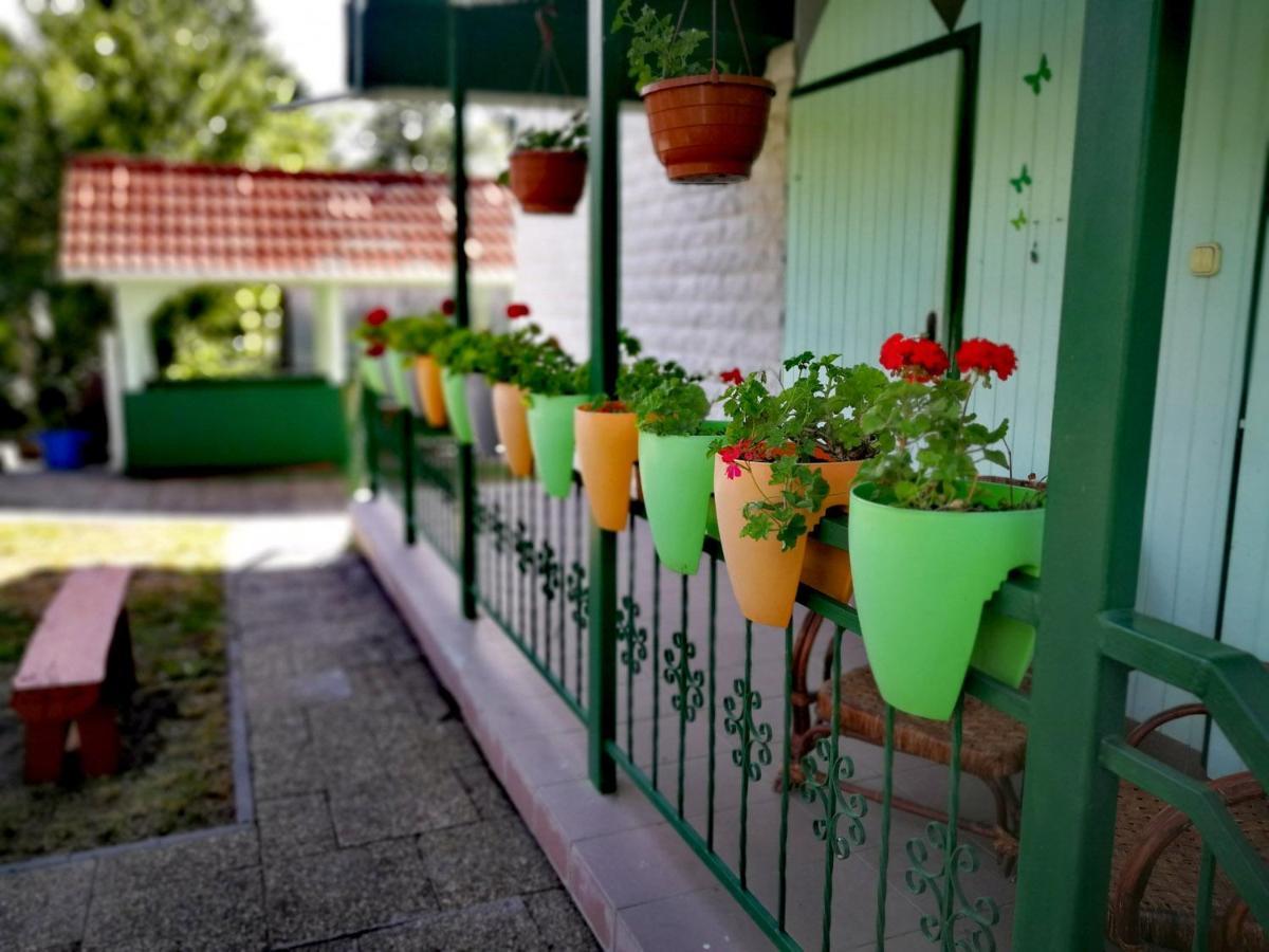Pensiune Dolce Balaton *